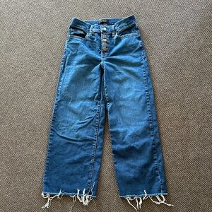 Banana Republic Distressed Blue Wide Leg Jeans